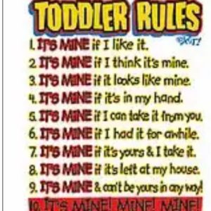 Toddler Rules